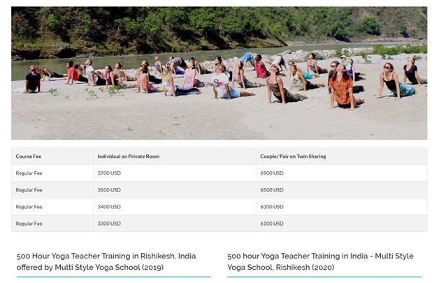 Multi Style Yoga School 